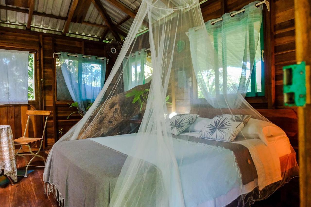 קאוויטה Playa Grande Lodge & Tree House מראה חיצוני תמונה