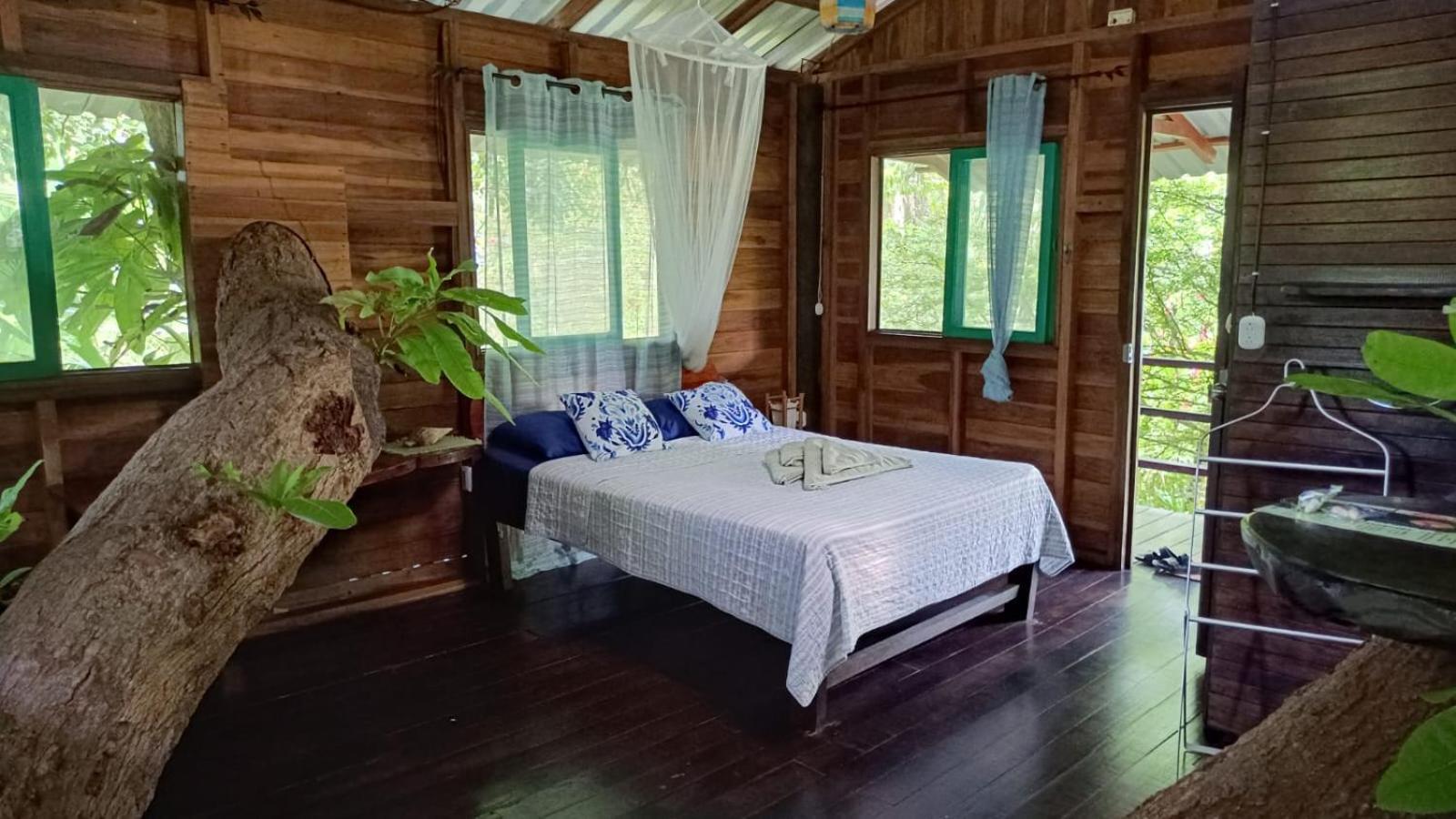 קאוויטה Playa Grande Lodge & Tree House מראה חיצוני תמונה