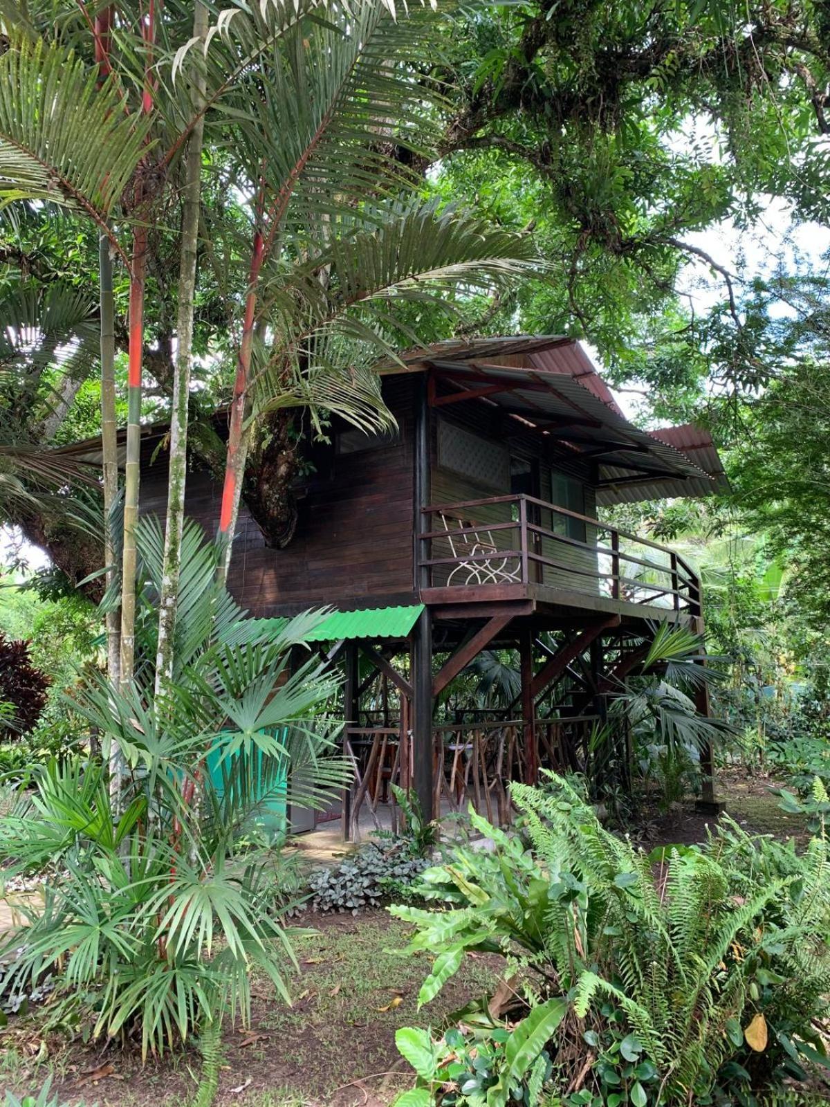 קאוויטה Playa Grande Lodge & Tree House מראה חיצוני תמונה