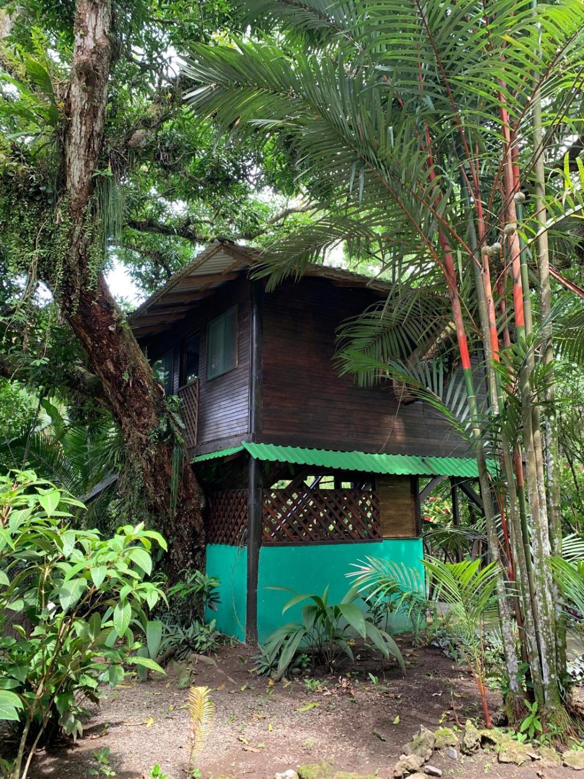 קאוויטה Playa Grande Lodge & Tree House מראה חיצוני תמונה