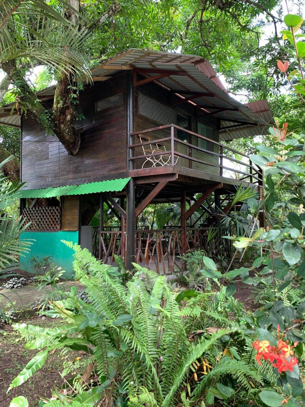 קאוויטה Playa Grande Lodge & Tree House מראה חיצוני תמונה