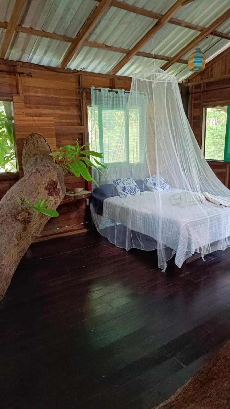קאוויטה Playa Grande Lodge & Tree House מראה חיצוני תמונה