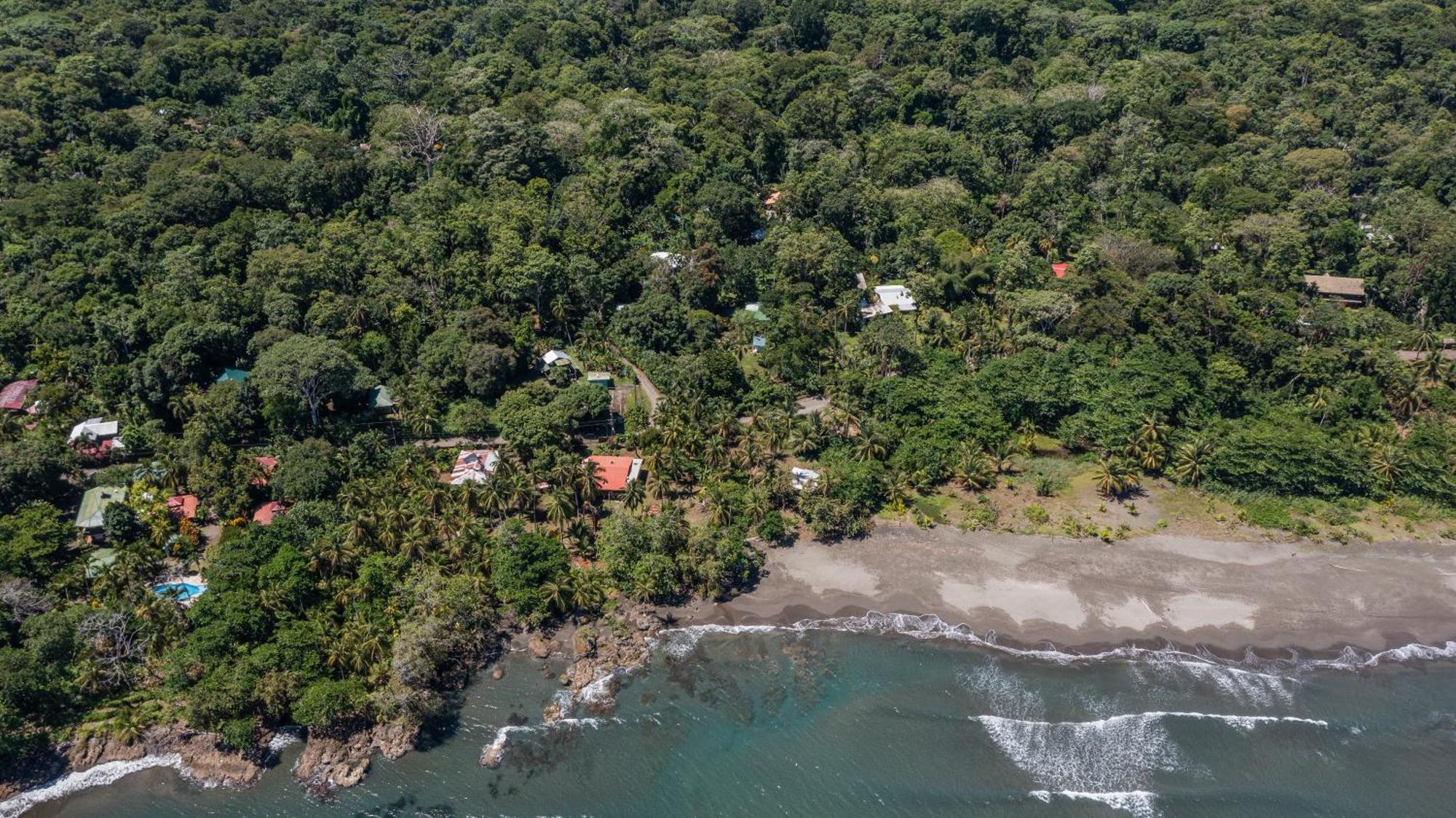 קאוויטה Playa Grande Lodge & Tree House מראה חיצוני תמונה